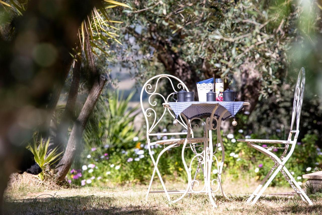 Suite Cucinino, Bagno, Ingresso Indipendente In" Villa Vivi" シニスコーラ エクステリア 写真